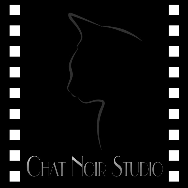 Chat Noir Studio